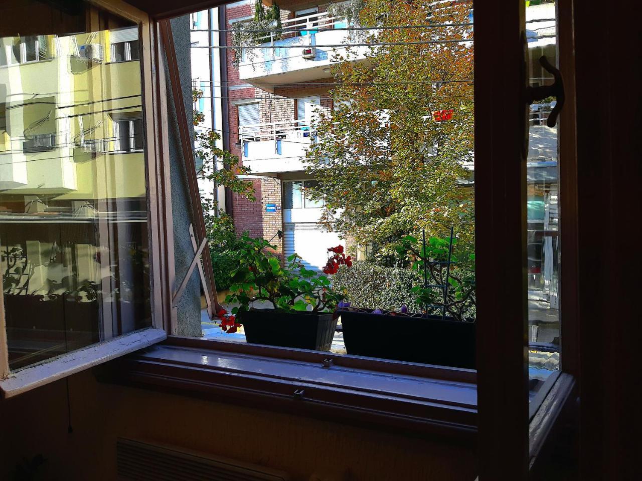 Jelena Apartment Beograd Eksteriør bilde